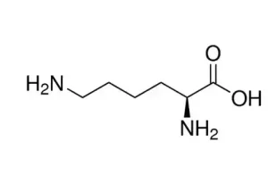 ال-لیزین.