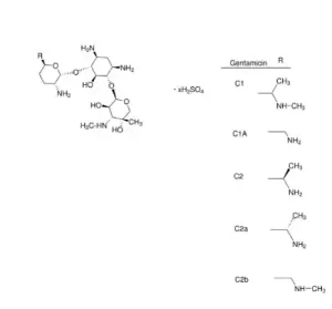 Gentamicin solution