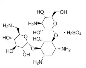 خرید کانامایسین سولفات سیگما 