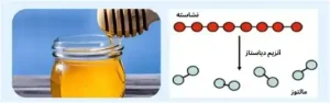 ماده شیمیایی دیاستاز در تولید عسل