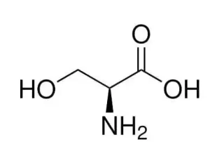 خرید ال سرین اسید آمینه سیگما